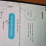 Old Android Phone Bundle HTC Samsung Image 5