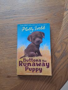 Buttons The Runaway puppy