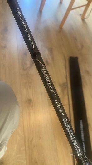 Fishing Rod Mad Mouse Avenir Spinning Sea Rod Pollock Bass