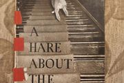 A Hare About The House. By Cecil S. Webb. First Edition. 1955 Hardback In Fair Condition. See Photos For Same.