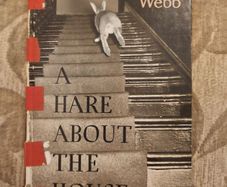 A Hare About The House. By Cecil S. Webb. First Edition. 1955 Hardback In Fair Condition. See Photos For Same.