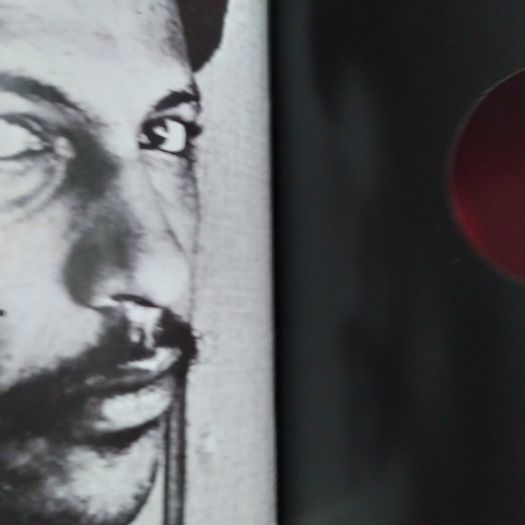 Arthur Lee/author: Barney Hoskyns