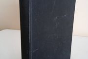 Saint Dominic and His Sons by Teresa Lloyd (RB187)