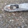 Palette truck-' perfect condition-- Dungarvan Image 3