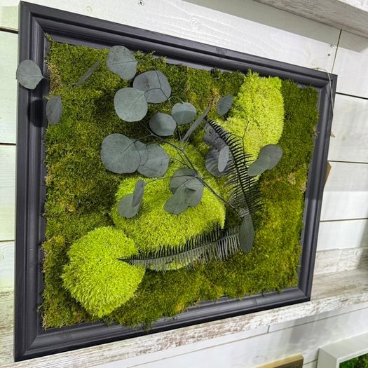 Classic Beauty 40x50cm - natural moss