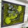 Classic Beauty 40x50cm - natural moss Image 4