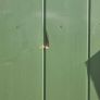 Alu-Clad Composite Outward opening Door Image 8