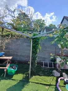 Brabantia Clothes Line Rotary - Only 75