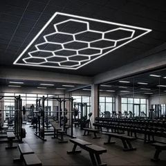 14 Hexagon LED Lighting with border Car Showroom 4.845 x 2.435 metre