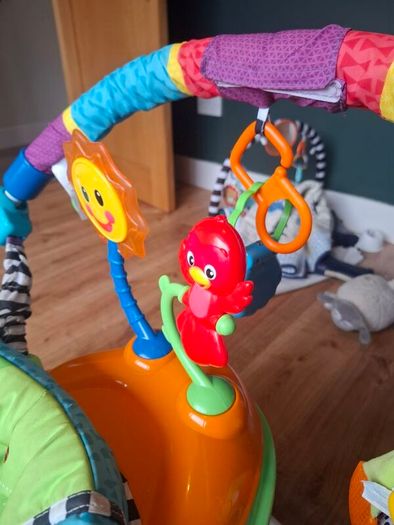Baby Einstein Neighbourhood Friends Activity Jumper