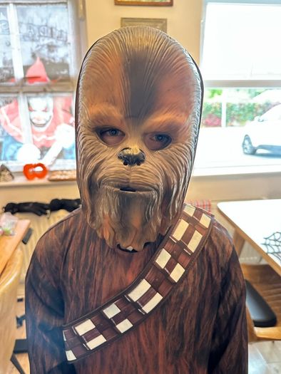 Chewbacca fancy dress costume