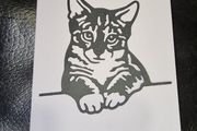 Calculating Kitty Blank Greeting Card