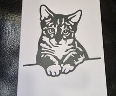 Calculating Kitty Blank Greeting Card