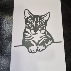 Calculating Kitty Blank Greeting Card