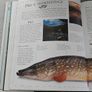 Fishing book Image 5