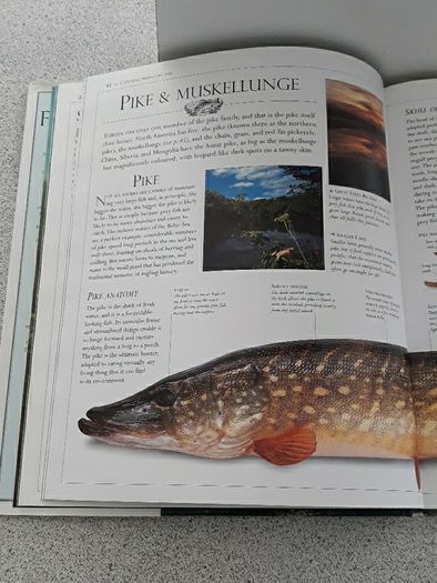 Fishing book
