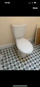 toilet push button