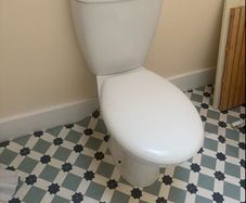 toilet push button