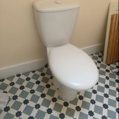 toilet push button