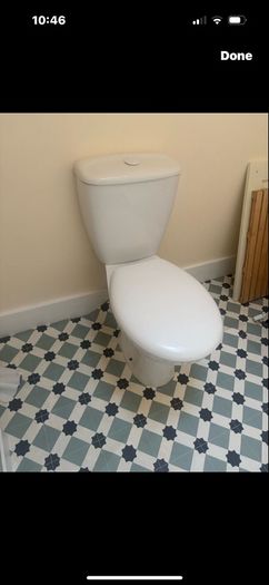 toilet push button
