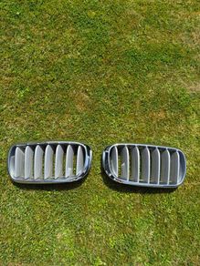 Bmw X5 Kidney Grills