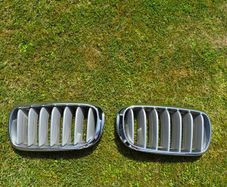 Bmw X5 Kidney Grills