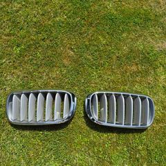 Bmw X5 Kidney Grills
