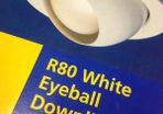 R80 Eyeball Downlighter