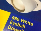 R80 Eyeball Downlighter