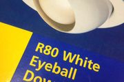R80 Eyeball Downlighter