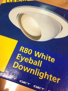 R80 Eyeball Downlighter