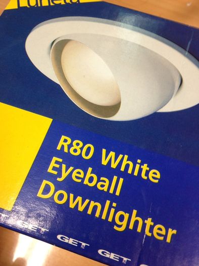 R80 Eyeball Downlighter