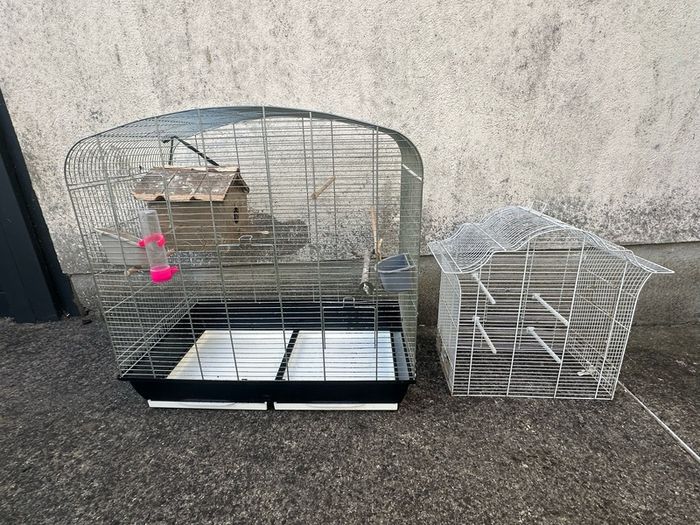 Bird Cages