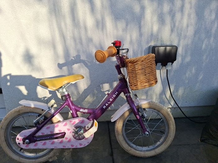 Raleigh Molli 14"