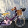 Raleigh Molli 14" Image 3