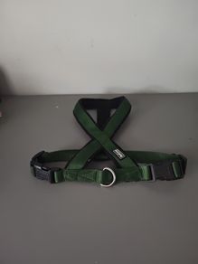 Dog harness