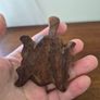 Hand Carved Wood Sea Turtle Image 4