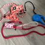 Dog items Image 2