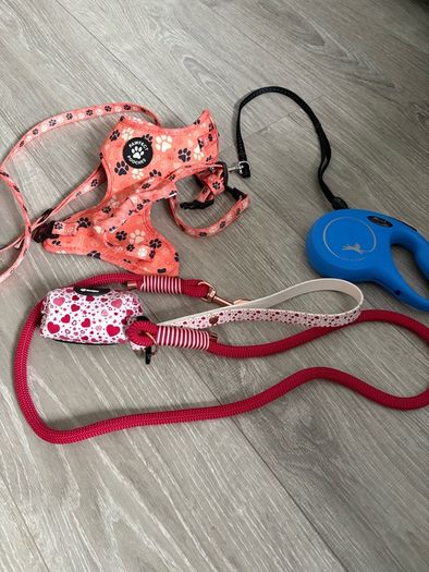 Dog items