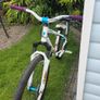 Specialized P1 Dirt Jump Bike Image 6