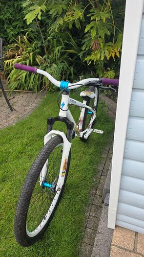 Specialized P1 Dirt Jump Bike