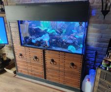 fish tanks accessories coral