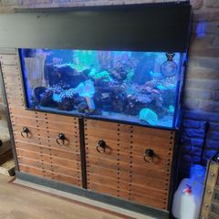fish tanks accessories coral