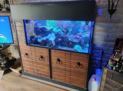 fish tanks accessories coral