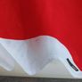 Nike Replica Monaco jersey Image 4