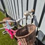 16inch girls bike Image 5
