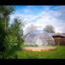 Geodesic frameless "GRAVITY" dome Image 4