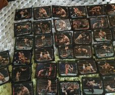 WWE Stickers