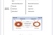 Leaving Cert Biology Institute Notes