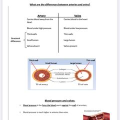 Leaving Cert Biology Institute Notes